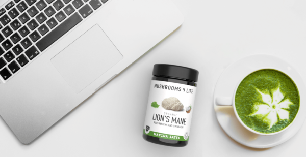 Matcha Latte Lions Mane Paddenstoel Biologisch Mushrooms Organic